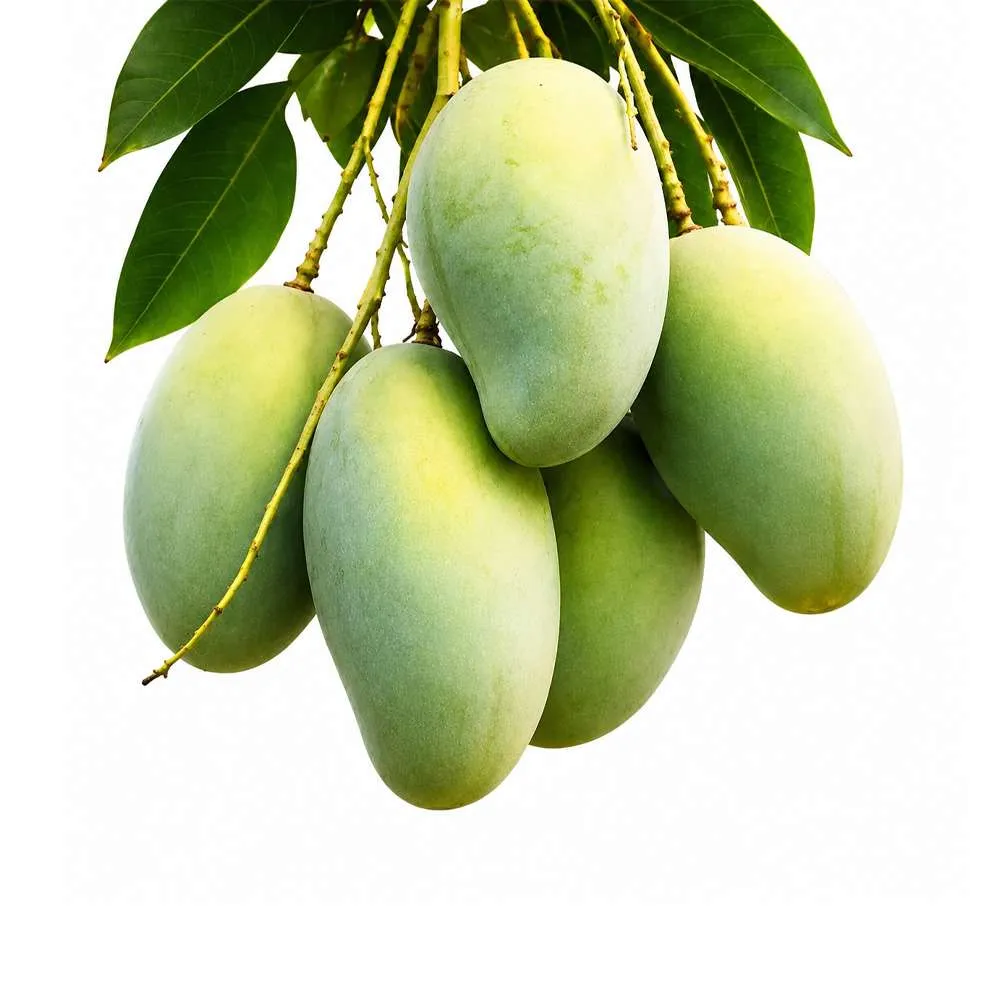amrapali mango-20 kg