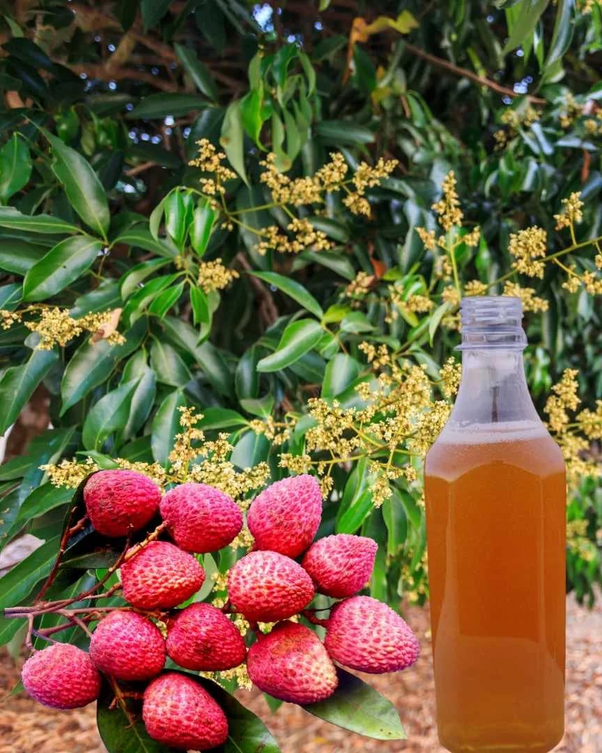 লিচু ফুলের মধু | lychee honey